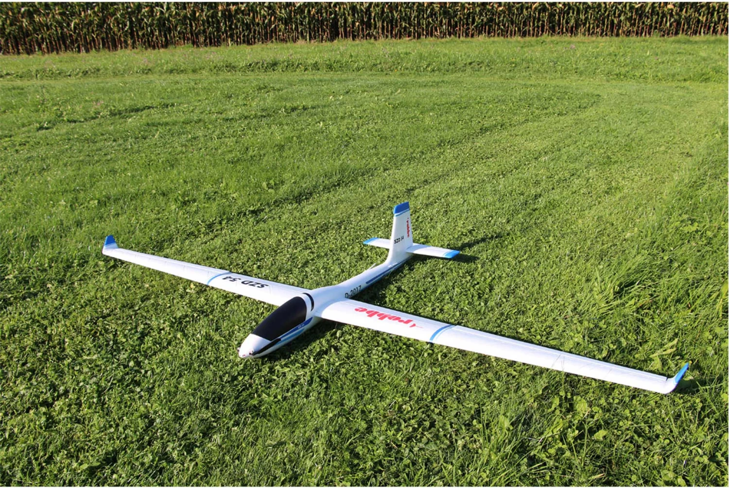 Robbe Modellsport SZD-54 KUNSTFLUGSEGLER AUS EPO PNP 4 Robbe Modellsport SZD-54 KUNSTFLUGSEGLER AUS EPO PNP - Image 4