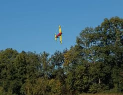 Robbe Modellsport Rasant Speed Verbrenner Version Jubiläumsausgabe 50 Jahre Robbe Rasant Holzbausatz -Flight Model Parts Store 9785083i